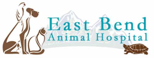 East Bend Animal Hospital