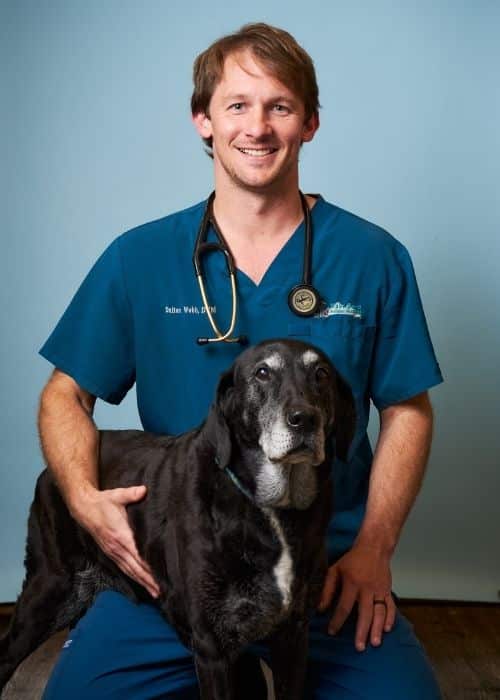 Dr. Dalton Webb